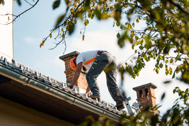 Best Roof Maintenance Services  in Susitna North, AK