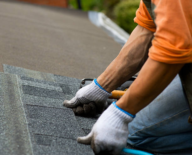 Quick and Trustworthy Emergency Roof Repair Services in Susitna North, AK