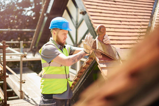 Best Roof Gutter Cleaning  in Susitna North, AK